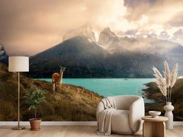 photo-wallpaper-patagonia-guanaco-peaks