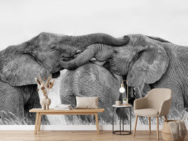 photo-wallpaper-elephant-playing-x
