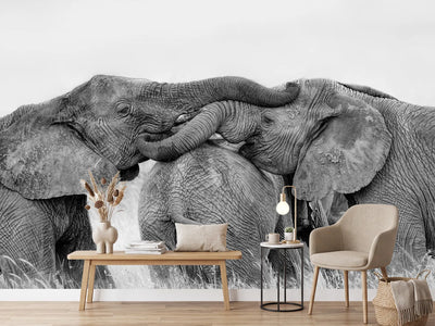 photo-wallpaper-elephant-playing-x