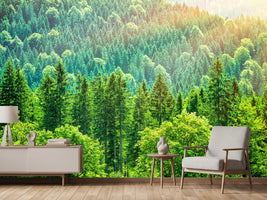 photo-wallpaper-the-forest-hill