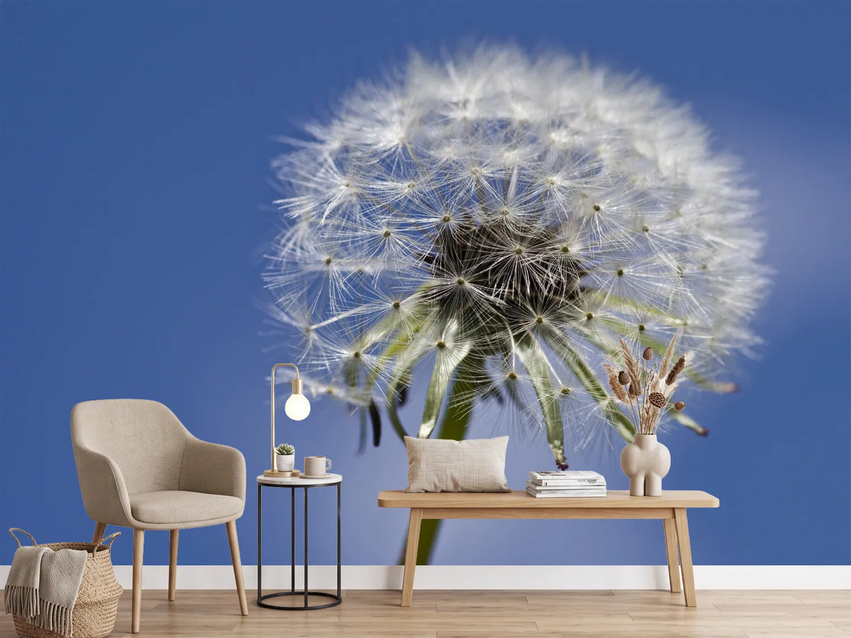 photo-wallpaper-the-dandelion-in-xxl