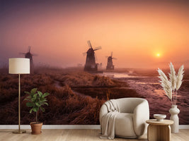 photo-wallpaper-foggy-morning-xji