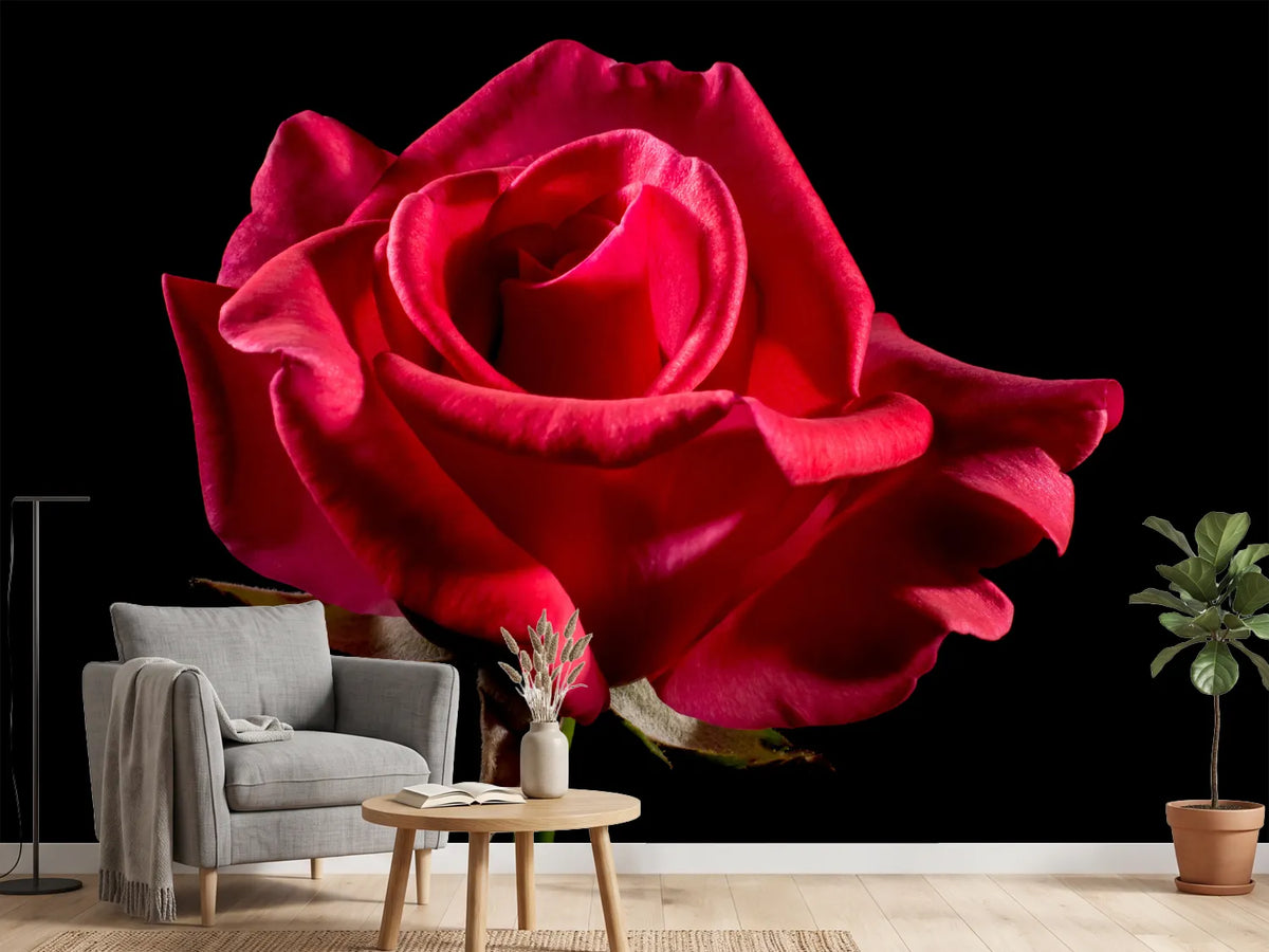photo-wallpaper-the-flower-of-love