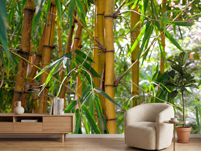 photo-wallpaper-wild-bamboo
