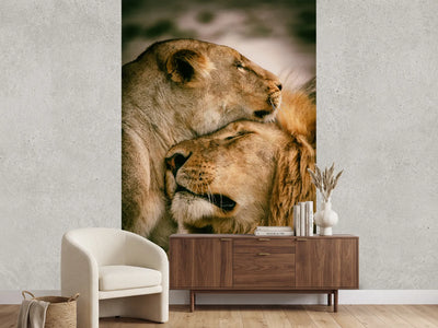 photo-wallpaper-what-is-love-x