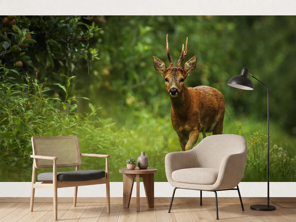 photo-wallpaper-wild-atmosphere