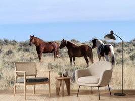 photo-wallpaper-3-horses-in-nature