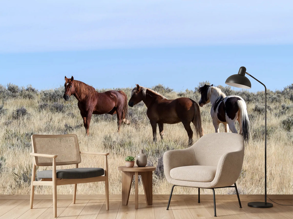 photo-wallpaper-3-horses-in-nature