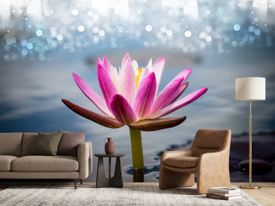 photo-wallpaper-lotus-in-the-morning-dew