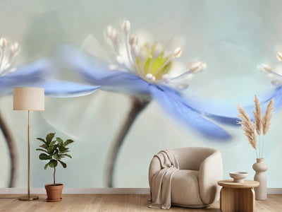 photo-wallpaper-dancing-anemones