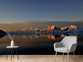 photo-wallpaper-peaceful-antarctic