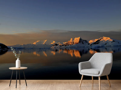 photo-wallpaper-peaceful-antarctic