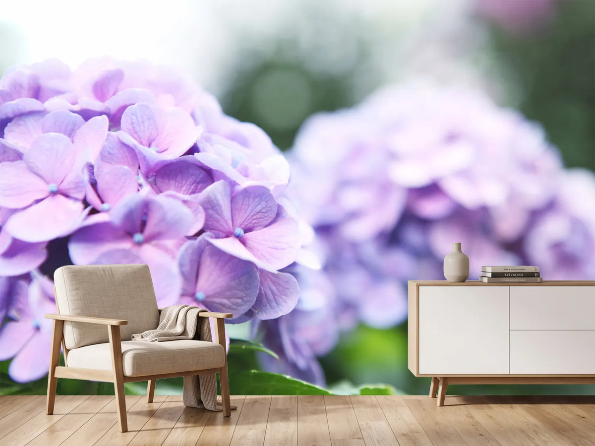 photo-wallpaper-hydrangeas