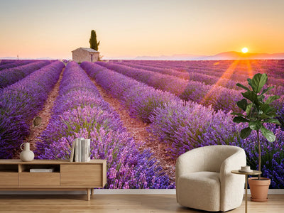 photo-wallpaper-rays-of-sunshine-over-fragrant-lavender