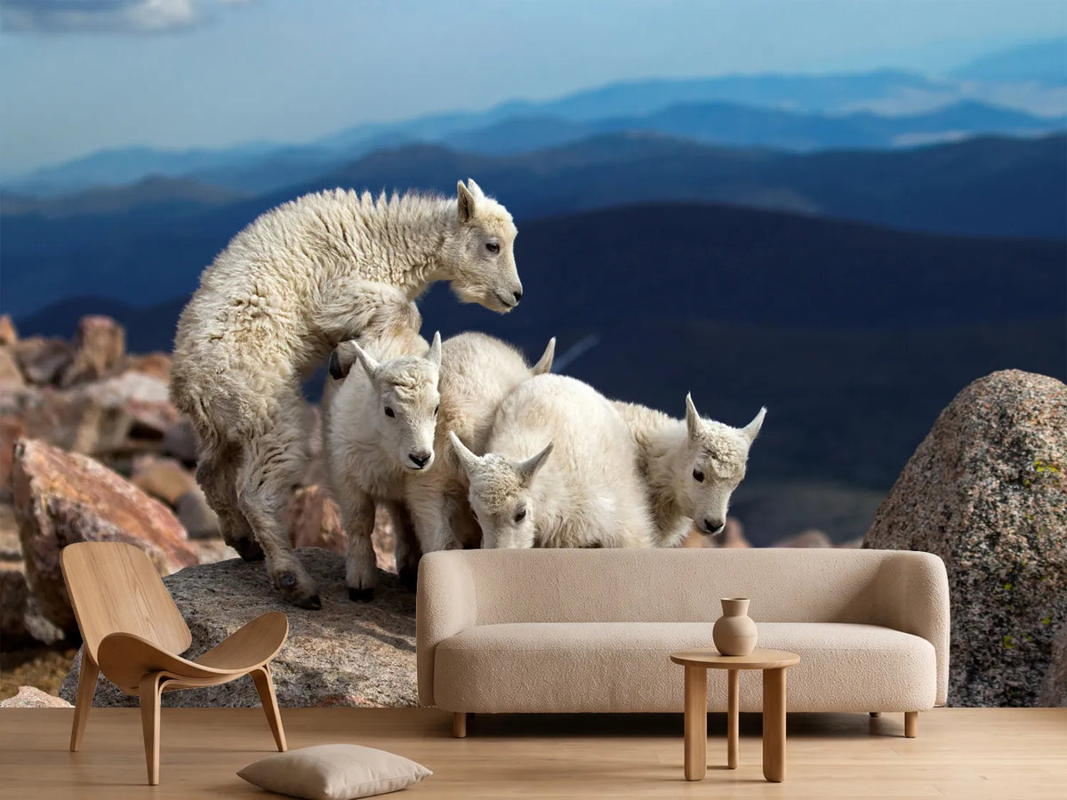 photo-wallpaper-baby-goats-at-play-x
