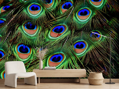 photo-wallpaper-peacock-feathers-xxl