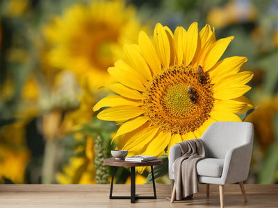 photo-wallpaper-bees-at-work