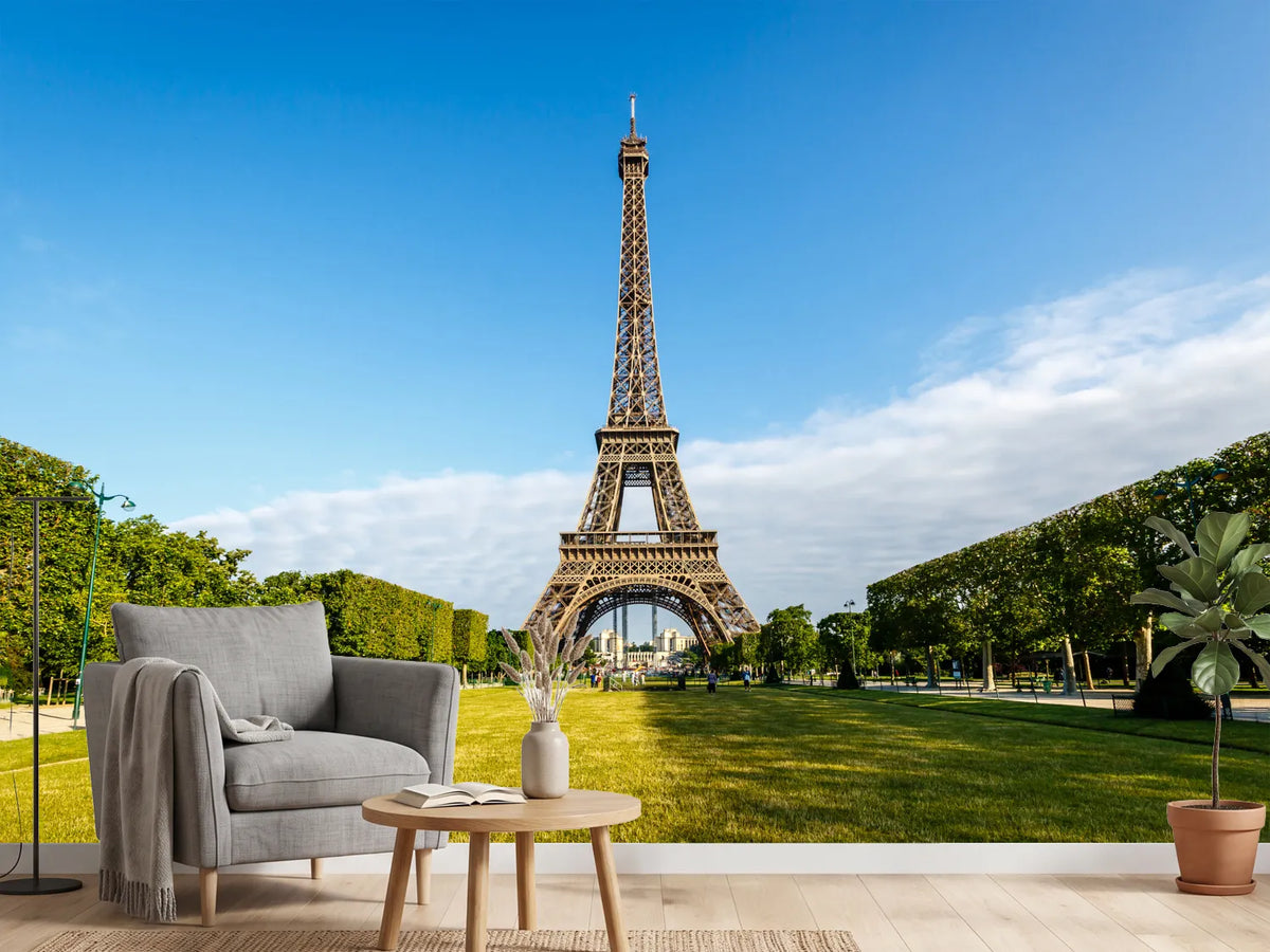 photo-wallpaper-the-eiffel-tower-in-paris