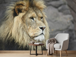 photo-wallpaper-lion-head-xl