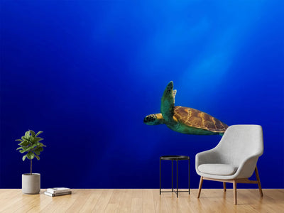 photo-wallpaper-flying