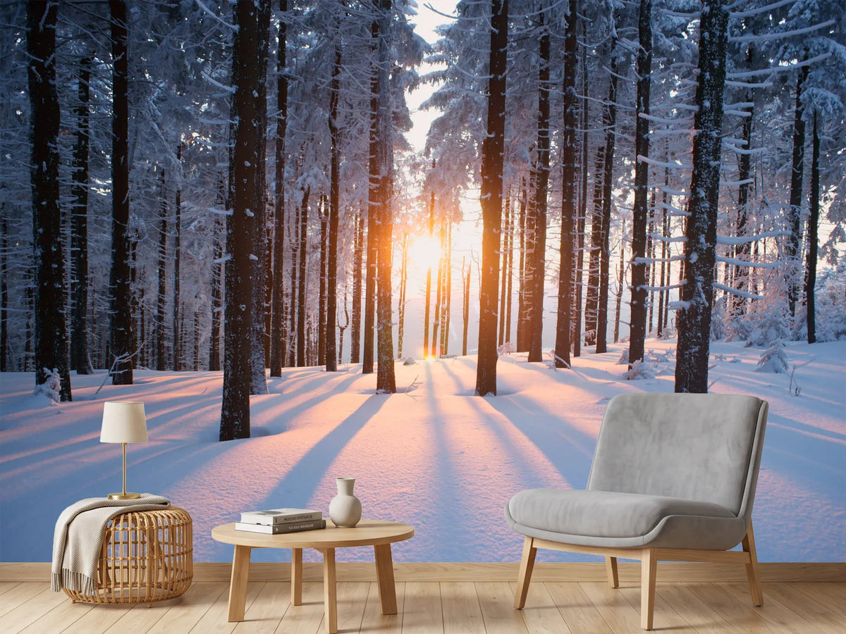 photo-wallpaper-sunset-in-the-wood-in-winter-period
