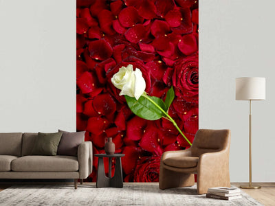 photo-wallpaper-bed-of-roses