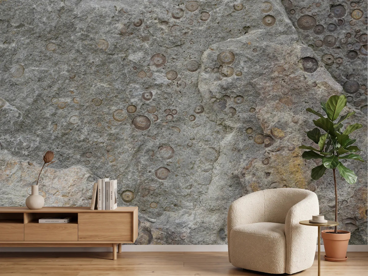 photo-wallpaper-fossilized-rock-texture