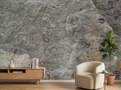 photo-wallpaper-fossilized-rock-texture
