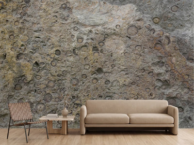 photo-wallpaper-geological-fossil-patterns