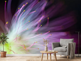 photo-wallpaper-the-will-o-the-wisp