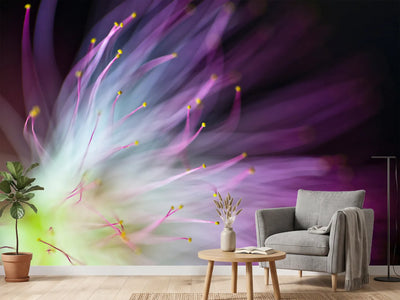 photo-wallpaper-the-will-o-the-wisp