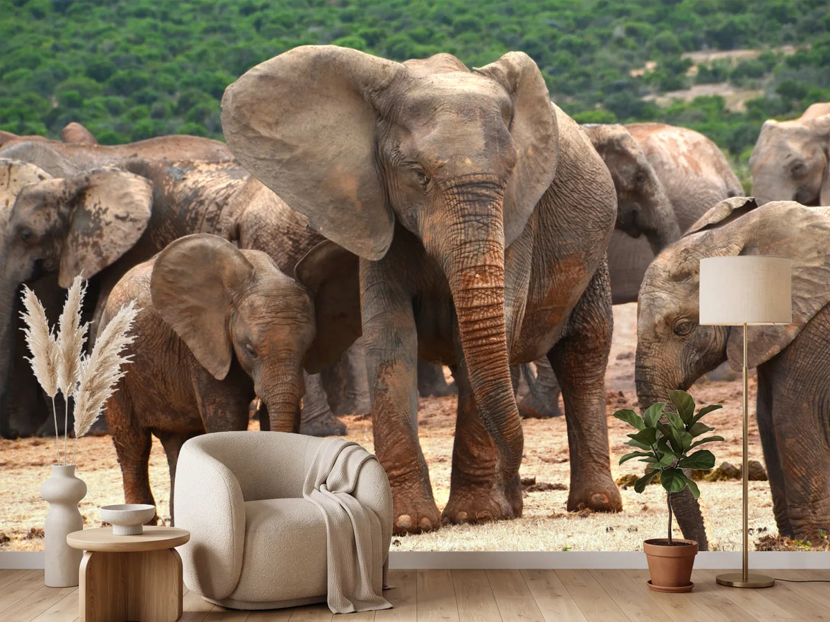 photo-wallpaper-elephant-herd-in-africa