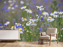 photo-wallpaper-wild-flower-meadow