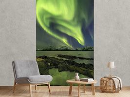 photo-wallpaper-the-aliensas-head