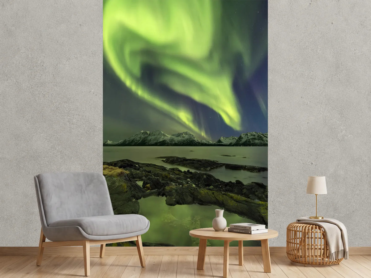 photo-wallpaper-the-aliensas-head