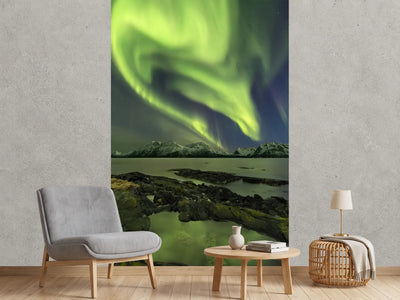 photo-wallpaper-the-aliensas-head