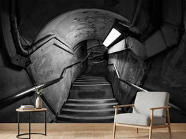 photo-wallpaper-down-the-rabbit-hole-x