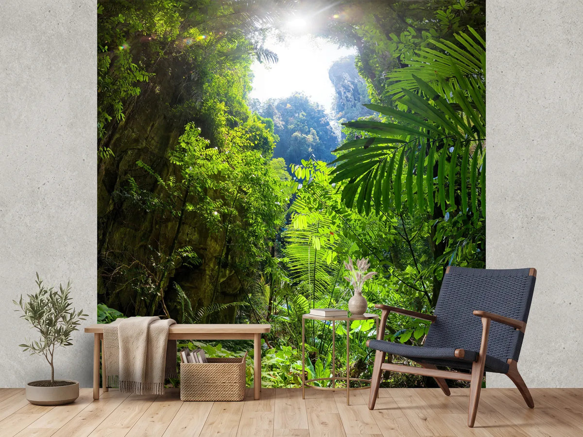 photo-wallpaper-clearing-in-the-jungle