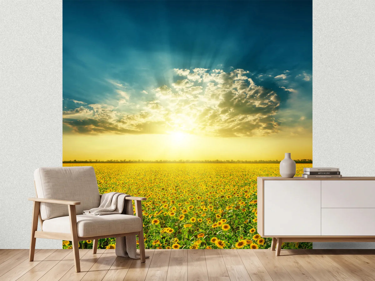 photo-wallpaper-sunflowers-in-the-evening-sun