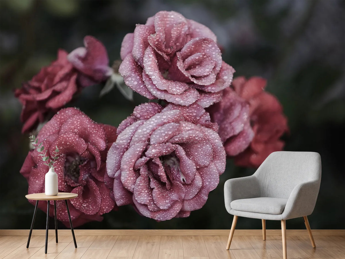 photo-wallpaper-romantic-roses