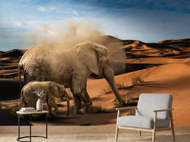 photo-wallpaper-elephants-in-the-desert