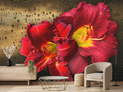 photo-wallpaper-lily-flowers-with-water-drops