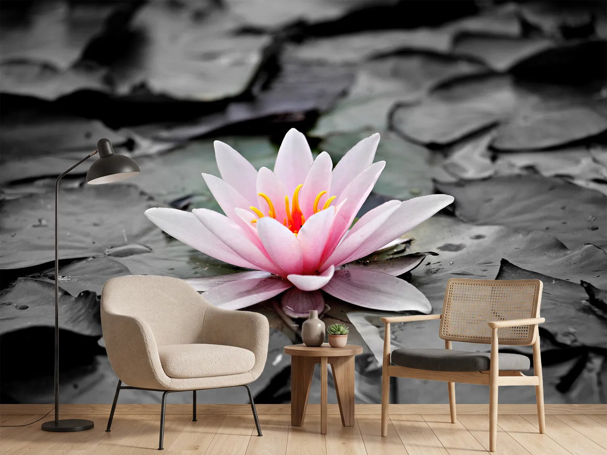 photo-wallpaper-the-art-of-water-lily
