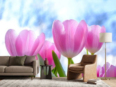 photo-wallpaper-tulips-in-nature