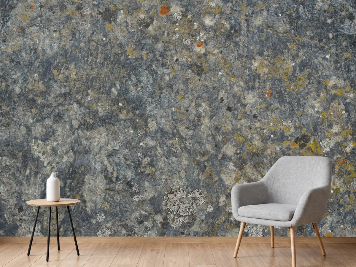 photo-wallpaper-lichen-covered-rock