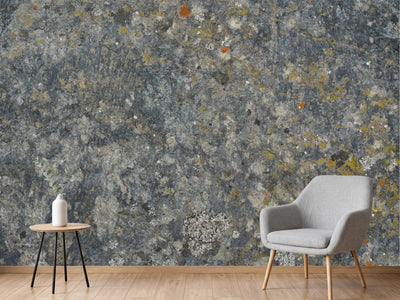 photo-wallpaper-lichen-covered-rock
