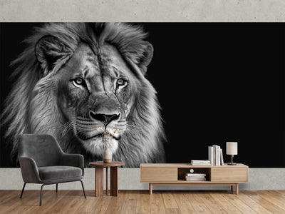 photo-wallpaper-lion-king-portrait-on-black-background-wildlife-animal