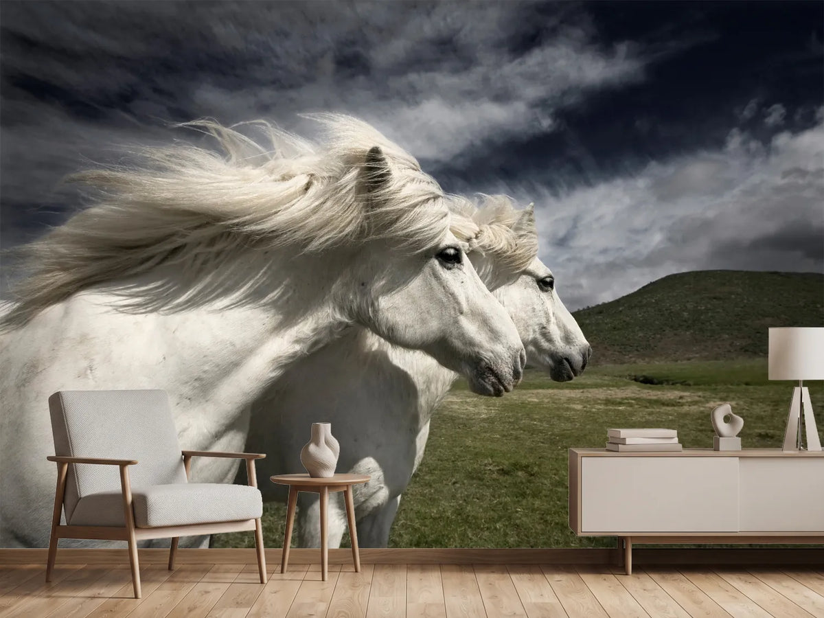 photo-wallpaper-interplay