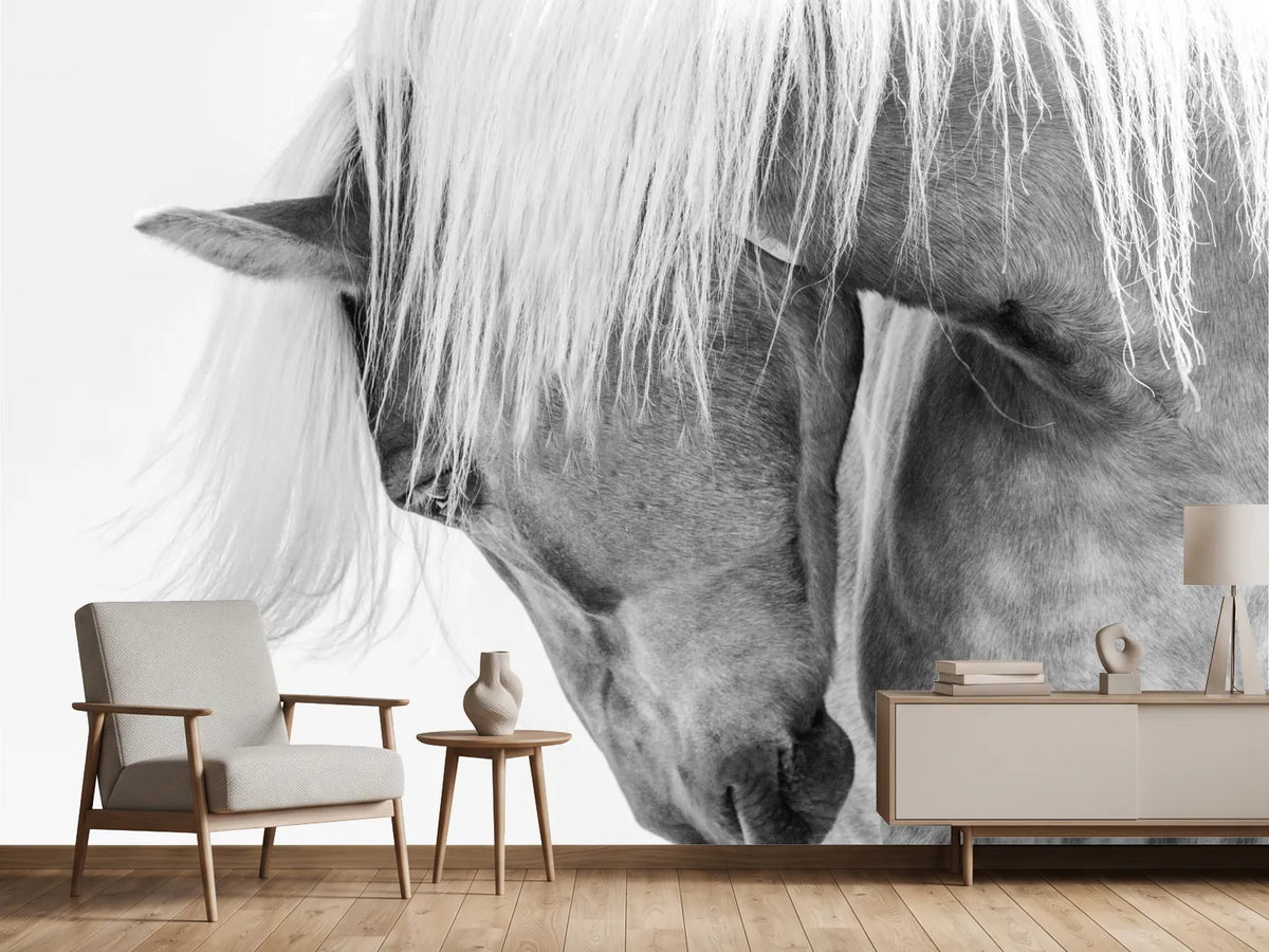 photo-wallpaper-serene-horse-portrait