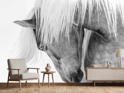photo-wallpaper-serene-horse-portrait